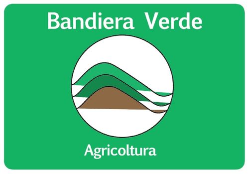 BANDIERA_VERDE
