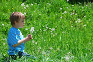 Boy blowing dandelion seeds